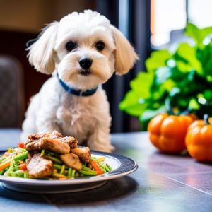 Health and Nutrition Guide for Your Poodle Maltese Shih Tzu Mix